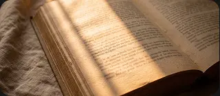 An open Bible with sunlight falling across the page